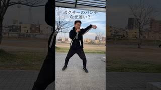 なぜボクサーのパンチは速いの？ #ボクシング #シャドーボクシング #格闘技 #shorts