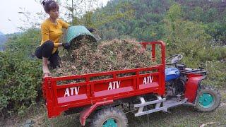 Use 4-wheeled Vehicle Trucks harvesting peanuts go to the village sell - Green forest farm