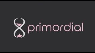 the primordial.dev experience