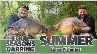 ** CARP FISHING **     FOUR SEASONS CARPING....SUMMER.... LINEAR FISHERIES