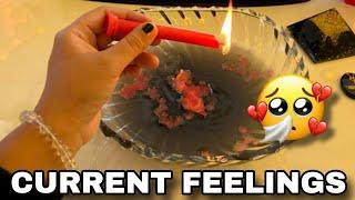 ️UNKI CURRENT TRUE FEELINGS- HINDI TAROT READING TIMELESS