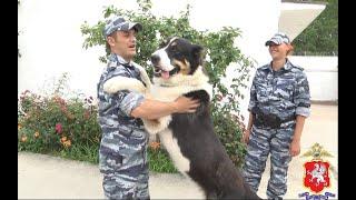 Полицейские собаки на заслуженном отдыхе: кинологи рассказали о жизни своих питомцев