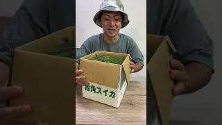 I saw some square watermelons for sale so I tried them... #shorts