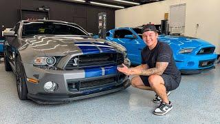 Taking Delivery of a SUPER RARE Shelby GT500!!