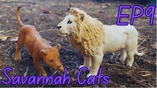 Savannah Cats |EP9| Toy Lion / Leopard / Cheetah Series