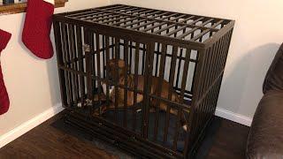 The BEST dog cage! Amazon HAIGE Pet Nanny dog crate review