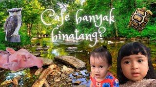 Binatang di Restoran