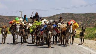 nomadic lifestyle of IRAN -  hard Nomadic migration - nomads people migration