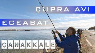 ÇANAKKALE / ECEABAT - Çupra Avı