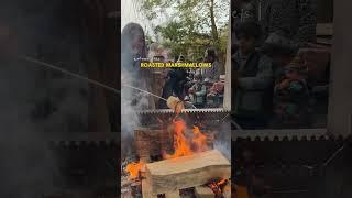 Roasting marshmallows at tulleys farm in the UK #london #travel #food #autumn #explore #vlog #vlogs