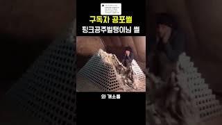 구독자 공포썰 [저승사자#2]
