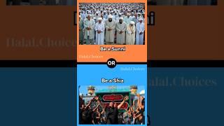 PART 49 |  Would you rather?  | Halal Choices |Comment your answers #shorts #islam #wouldyourather