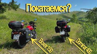 Bajaj Boxer и Bajaj Dominar 400. Через тернии к асфальту.