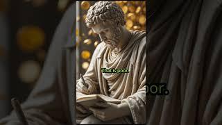 A Stoic’s Guide to Financial Freedom #selfimprovement #stoic #motivation