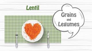 Learn Grains and Legumes in English | Full English Course | vocabulary with pronunciation