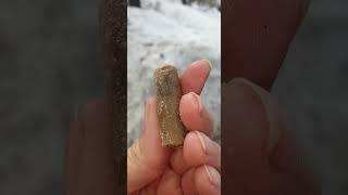 Окаменелости юрского периода в парке. Еще больше видео о минералах и окаменелостях на канале.