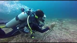 drift diving with strong current in komodo