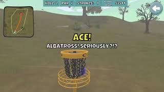 The Perfect Round- Disc Golf Valley All Aces (Windswept Fields)