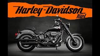 Harley-Davidson FLSTFBS Fat Boy S Screamin Eagle 110ci - Topzustand