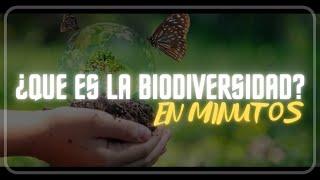 ¿QUE ES LA BIODIVERSIDAD? en minutos