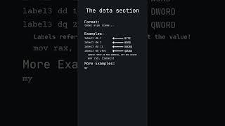 The data Section - Assembly Part 2