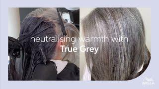 How to Neutralize Warmth In Grey Hair Using True Grey | Wella Professionals