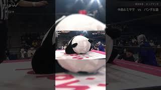 身長3mのジャイアントパンダがリングインする動画