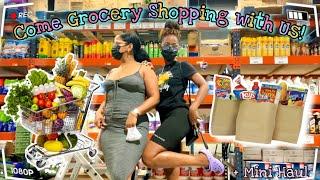 Come Grocery Shopping with Me & Ma (VLOG) + Mini haul  | Joleezah