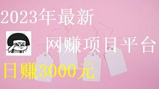 2023年最新网赚项目|零风险的 网赚 平台，让你快速轻松日入3000+的 网赚 赚钱方法（真实网站实录操作视频）