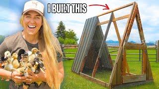 I Built A Portable Duckling Coop For ZERO Dollars : The Quack Shack