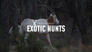 Greystone Castle - Exotic Hunts