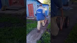 Весело в деревне.