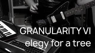 GRANULARITY VI - ELEGY FOR A TREE || chelidon frame