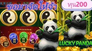 ล็อตแตกง่าย joker xo-Joker ค่าย Joker เกม Lucky Panda /yukichannel