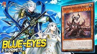 Deck Blue-Eyes Primite EDOPRO | Replays  + Decklist ️