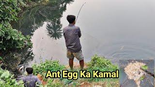 Big Rohu Fishing techniques || Single Hook Fishing || Best Bait For Rohu Fishing #rohufishbait