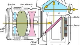 Color, Vision and Camera's EM Aspects