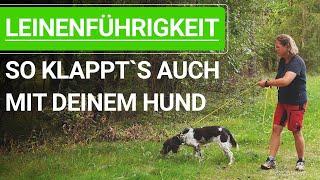  Leinenführigkeit trainieren ️ So klappt`s auch mit deinem Hund ️ Praxisvideo ️