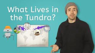 What Lives in the Tundra? - Exploring Science for Kids!