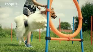 zooplus - Europe's No. 1 online pet shop