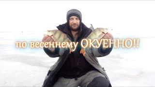 По весеннему ОКУЕННО!!! 16-я насосная. (безнасадочные мормышки).