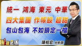 【統一 鴻海 東元 中華  四大集團 作帳股 超甜  包山包海 不如鎖定一檔】 #財富密碼 陳柏宏分析師 2024.11.05