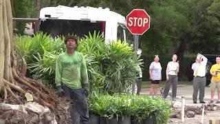 City of Coral Gables' List of "Landscaper Do's & Don'ts"