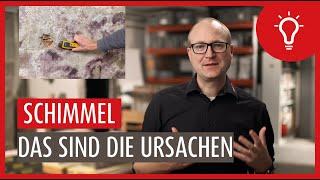 Schimmel - Wie entsteht er? Ursachen und Präventionsmaßnahmen