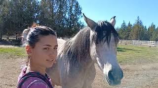 Meeting Savanah!! Kristens' Arabian Mare!! Cruising in our Rexhall Airex, "Roxy".