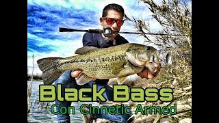 Black bass con Cinnetic Armed