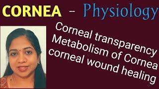 Physiology of cornea/corneal transparency/dehydration state of cornea/metabolism &functionsof cornea