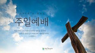 2024년 12월 22일 주일예배 | 이런 교회가 되게 하소서 (삼상19:18-24) | 성요한 목사