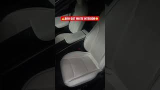 ️Don’t Choose WHITE INTERIOR IN YOUR TESLA 