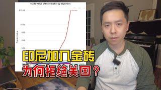 印尼加入金砖：为什么选择中国，而不是西方？